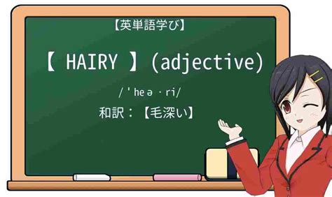 hairy 意味